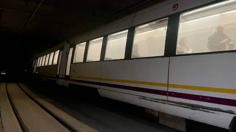 El atropello a un caballo en Benacazón desvía el tren Huelva-Sevilla