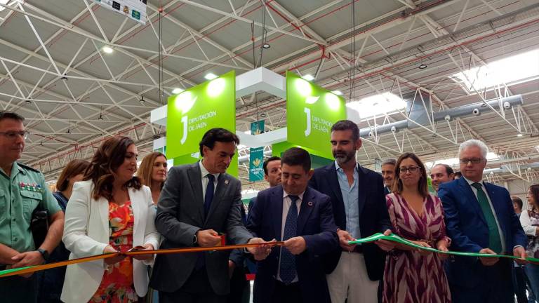 Catalina Madueño, Agustín González, Francisco Reyes, Ramón Fernández-Pacheco, África Colomo y Juan Gallego, en el corte de la cinta. / Diputación de Jaén.