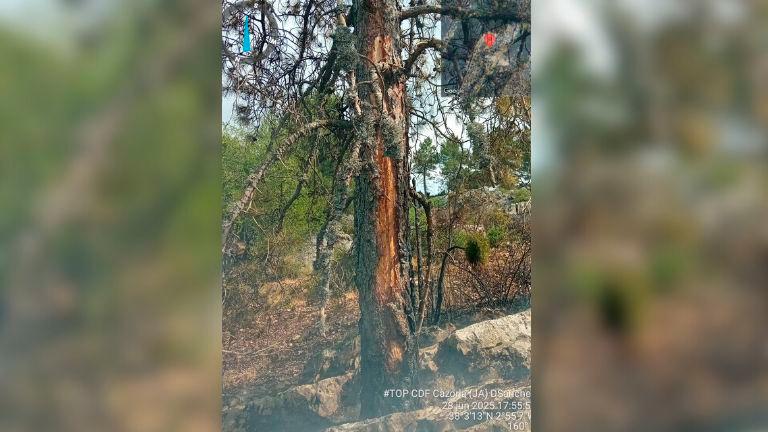 Queda estabilizado el incendio forestal en un paraje de Villacarrillo