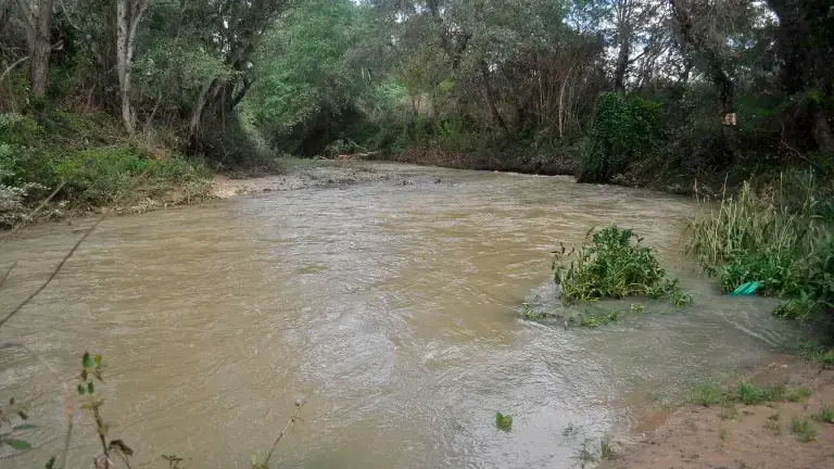 Ecologistas en Acción-Jaén plantea nuevas medidas para mejorar el colector de los Puentes
