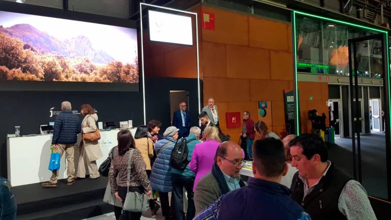 Balance positivo de la Diputación y el Ayuntamiento de Jaén sobre Fitur 2024