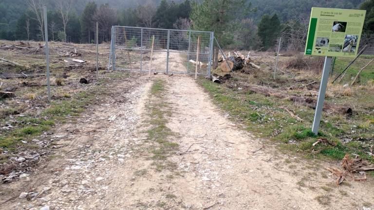 El pulmón verde desaparecido en la idílica Nava de San Pedro