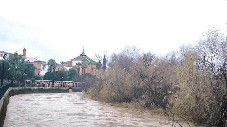 Río Guadalquivir, a su paso por Villanueva de la Reina. / Fotografías: Juan Antonio Peinado.