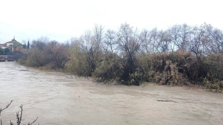 Estos son los ríos que están en alerta roja a su paso por la provincia