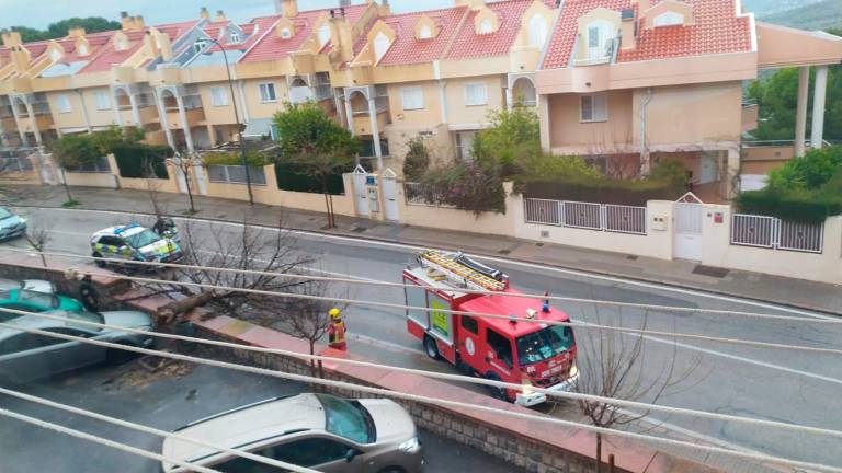 Los bomberos llegan para retirar el árbol.
