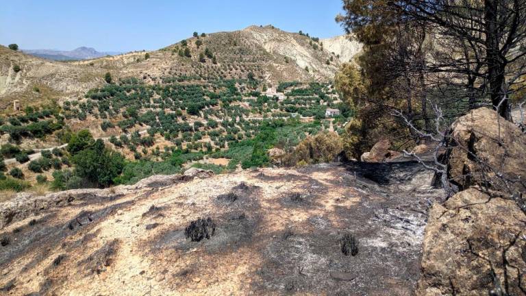 El incendio de Hinojares calcina 10 hectáreas de pinar y olivos