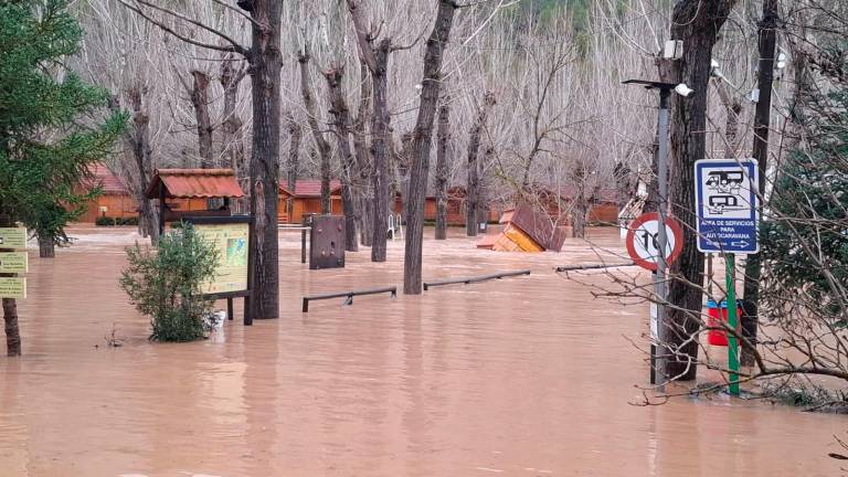 La crecida del Guadalquivir anega Coto Ríos y deja la zona incomunicada