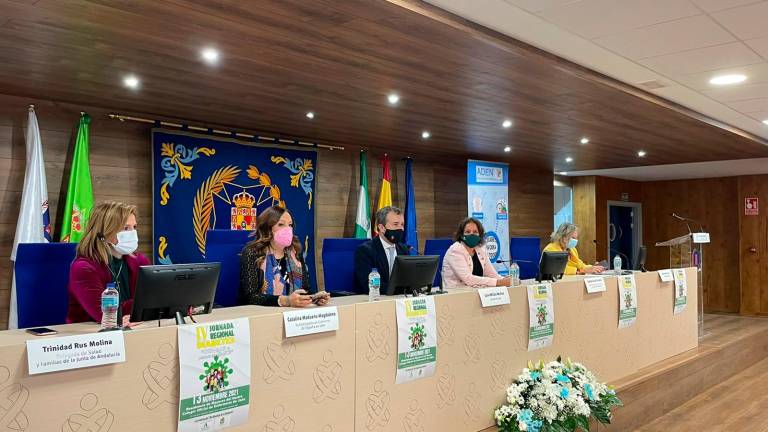La tasa de prevalencia de la diabetes en Andalucía se sitúa en un 15 por ciento, alrededor de un millón de personas