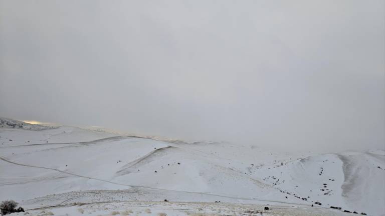 Nieva en los Campos de Hernán Pelea