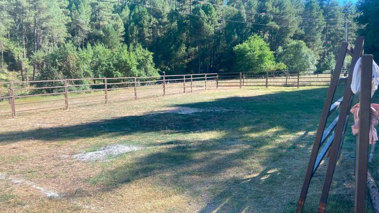 El recinto donde estarán las dos novillas de la ganadería de José Martínez Vivo en Río Madera.