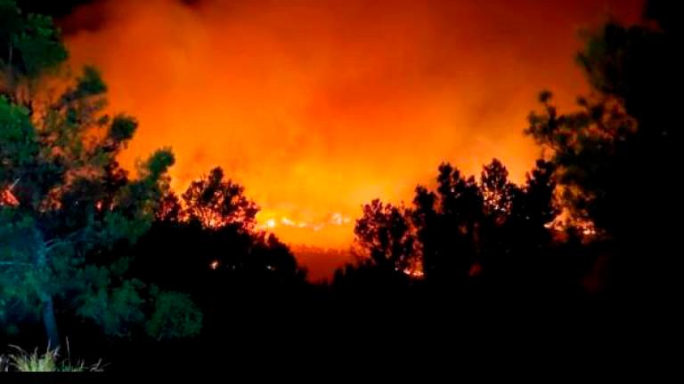 1.020 hectáreas quemadas en la provincia de Jaén en 17 incendios forestales y 100 conatos