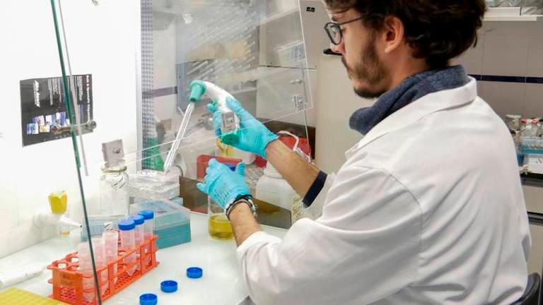 La UJA mejora su posicionamiento en investigación a nivel nacional