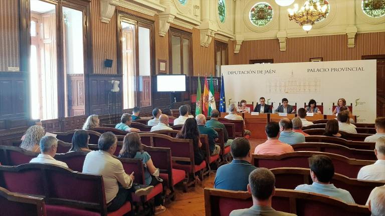 El Consejo de Alcaldes y Alcaldesas aborda el control del Virus del Nilo