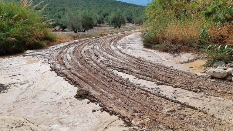 Apagón por lluvia en Mancha Real