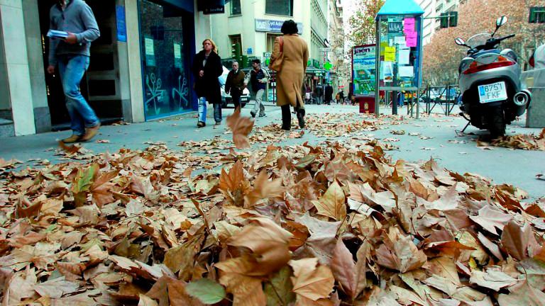 Regresa el tiempo estable con sol y sin rastro de lluvia