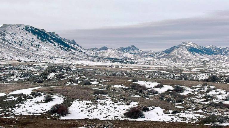 Revés a la investigación del frío en los Campos de Hernán Pelea