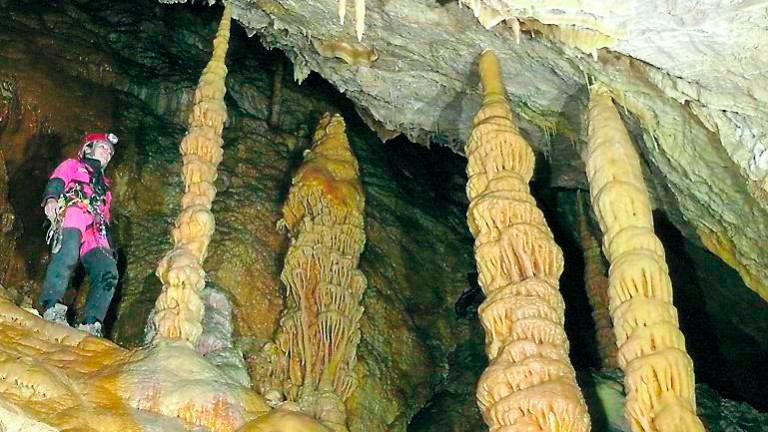 La cueva Murcielaguina de Hornos de Segura ya se identifica como Reserva Entomológica
