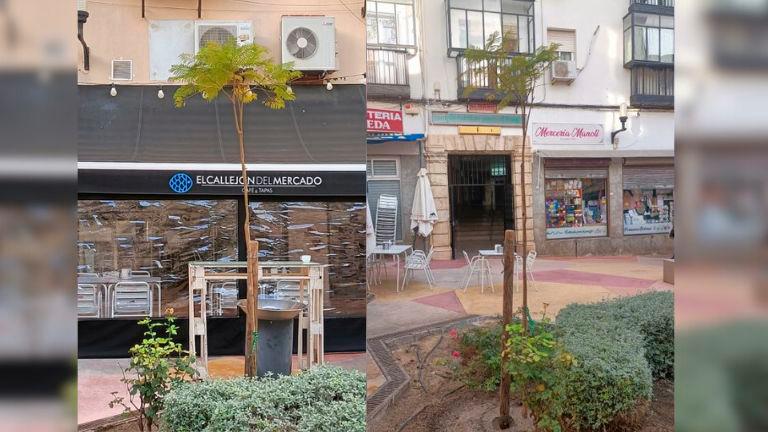 La plaza Atarazana se engalana con jacarandas