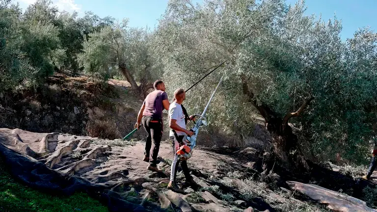 Marzo finaliza con 495 desempleados más en Jaén