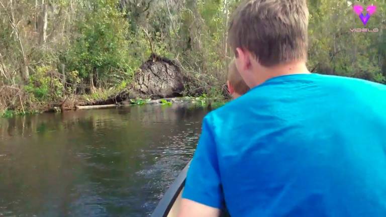 Una excursión familiar se convirtió en un tenso encuentro con un caimán gigante
