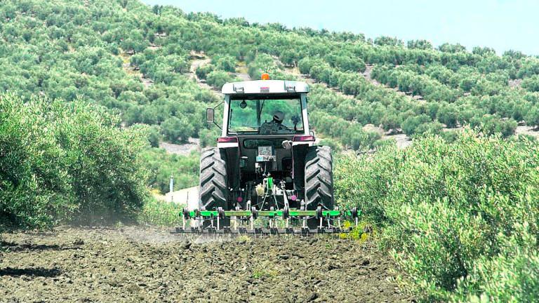 Muere una mujer atropellada por un tractor en Peal de Becerro