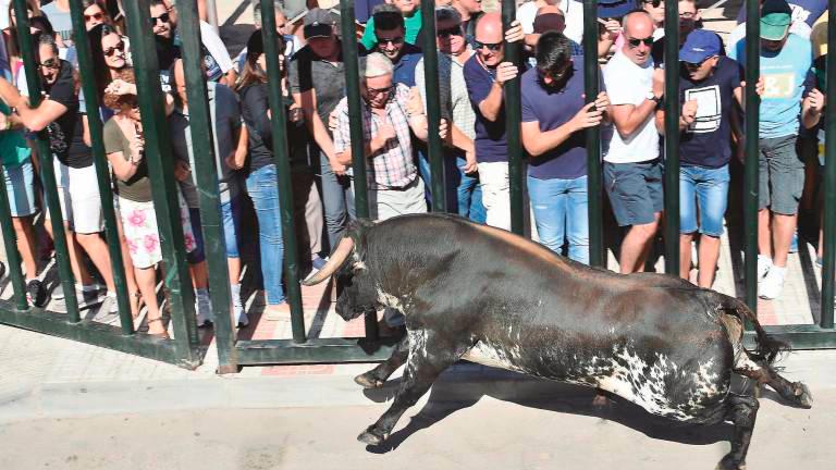 Reviva los encierros de Castellar 2019 hoy