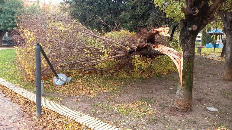 Las rachas de viento provocan una treintena de incidencias en la capital