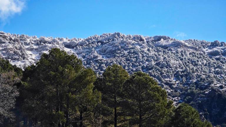 ¿Va a llover en Semana Santa en Jaén?