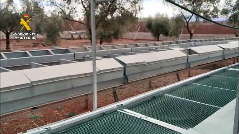 Desarticulan una explotación por captura ilegal de perdiz roja en Jaén y Mancha Real