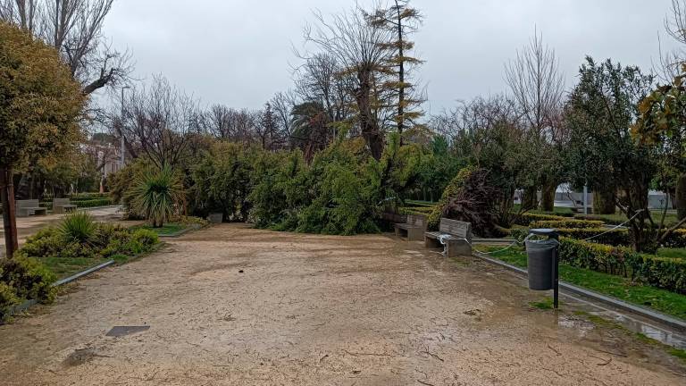 El viento tira uno de los cedros del parque de la Alameda