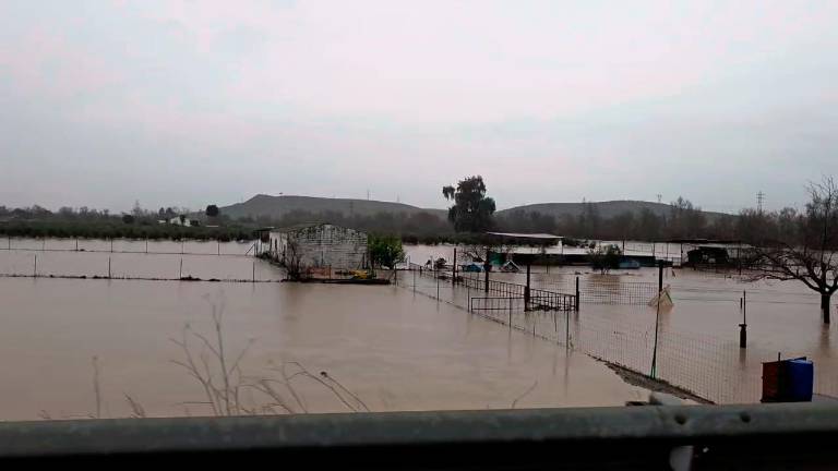 Andújar es un lago de “color chocolate” con el Guadalquivir abriéndose paso