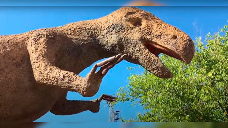 Arcosaurio Condadense