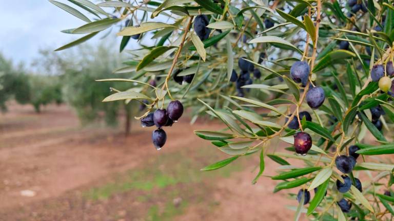 La borrasca Claudia deja cerca de 10 litros de media este sábado