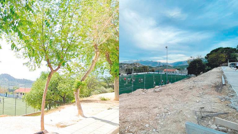 Malestar vecinal por la tala desmesurada de árboles en La Glorieta