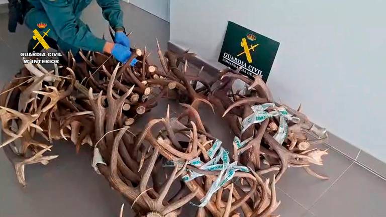 Investigados cuatro varones de La Carolina por caza furtiva y tenencia ilícita de armas