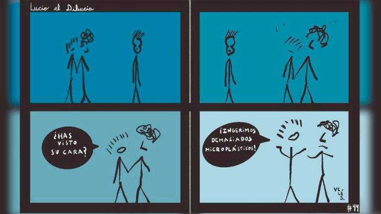 VIÑETA #44 17/11/25