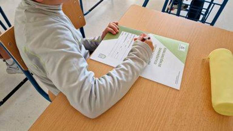 Más de 12.500 estudiantes de Primaria y Secundaria de Jaén harán en mayo la Evaluación de Diagnóstico