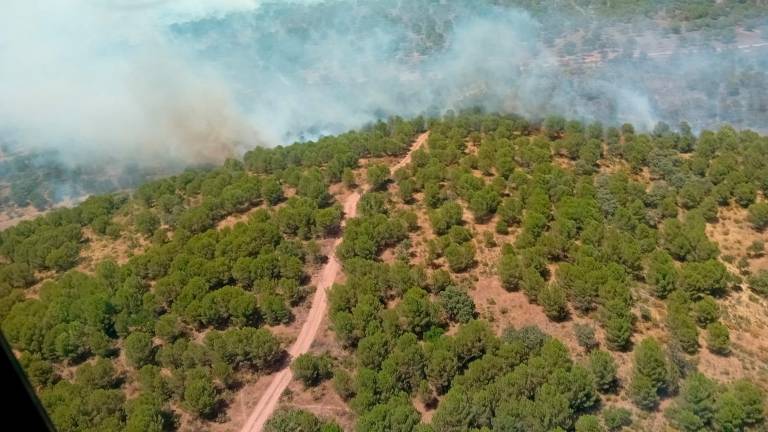 Controlado el incendio forestal de Montizón