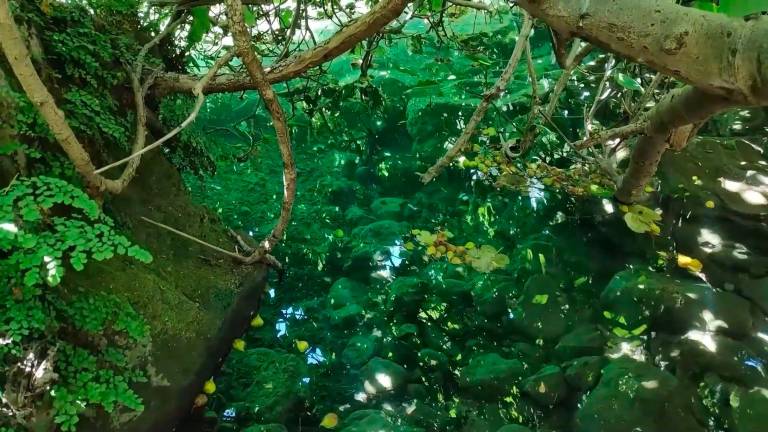 Río de órganos y cerradas