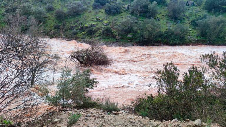 El Guadalén desembalsa 20,6 hectómetros en tan solo 24 horas
