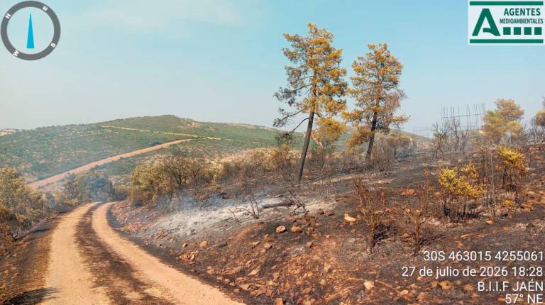 La rápida intervención del Infoca evita la expansión de los incendios en la Sierra de Segura, que siguen en fase de extinción