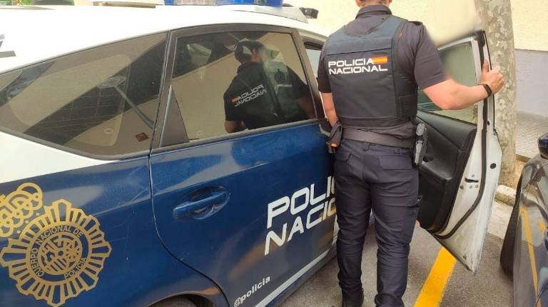 <i>Un agente de la Policía Nacional, de espaldas. Archivo. / Policía Nacional.</i>