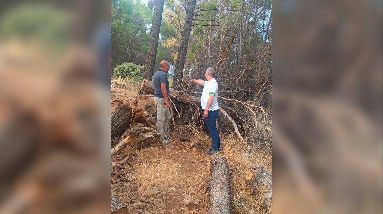 <i>Imagen de los concejales José María Cano y Javier Padorno en la zona afectada. / Ayuntamiento de Jaén.</i>