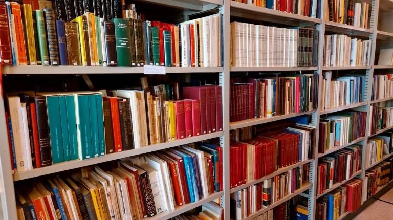 <i>Biblioteca del médico Fermín Palma. / Europa Press. </i>