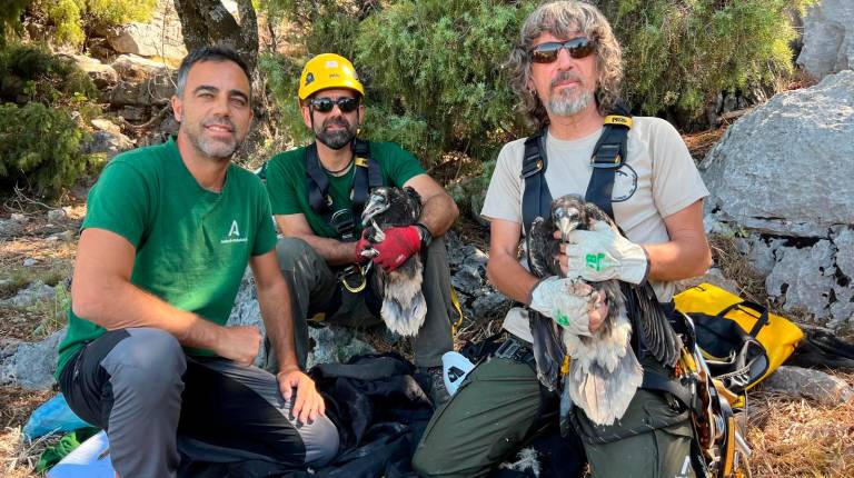 <i>Tres trabajadores del Área de Biodiversidad de la Junta de Andalucía.</i>
