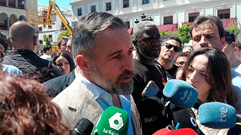 Abascal: “Al Pacto Verde no le importa que arranquen miles de olivos para poner placas solares”