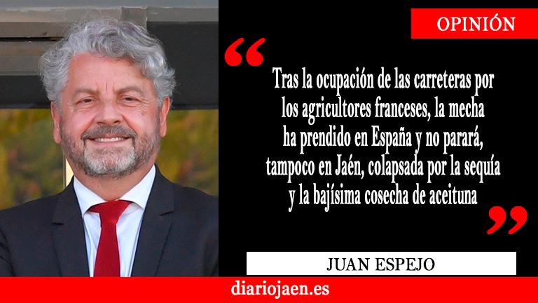 Ha despertado el campo, de nuevo