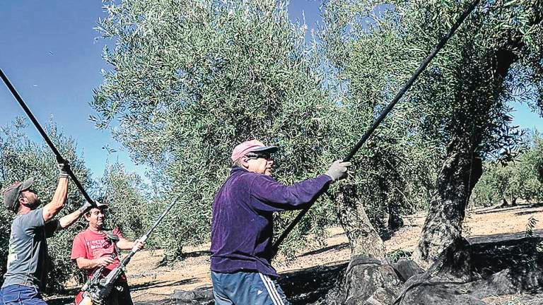 El nuevo presupuesto de la UE recorta un 10% la PAC