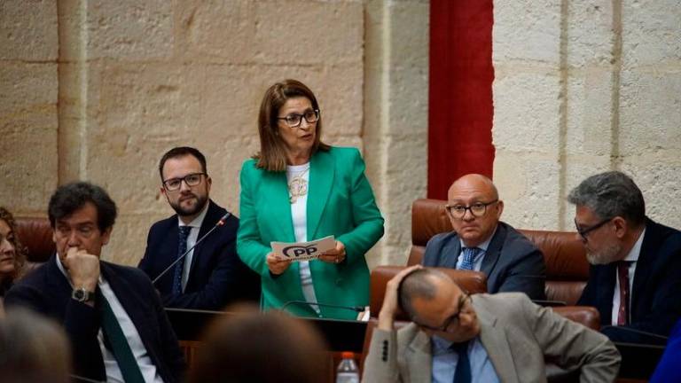 El PP exige al Gobierno central “la misma financiación que a los vascos” para dependencia