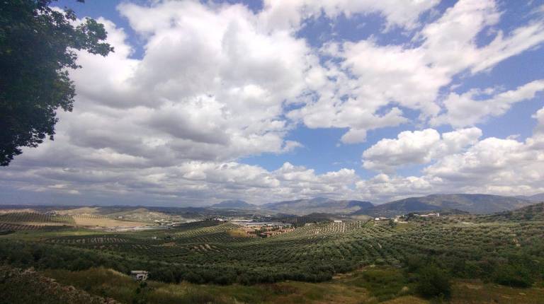 <i>Imagen del cielo nublado. </i>